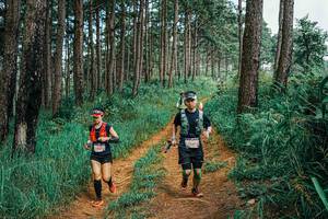 BIB: 
                            <button type="button" onclick="openModal(25725539)" class="btn btn-primary btn-sm float-right btn-popup" data-toggle="modal" data-target=".modal-high-quality">
                        <i class="fas fa-shopping-cart"></i> Add to Cart
                    </button>
                                            <button type="button" onclick="isThisMe(25725539, true)" class="btn btn-success btn-sm float-right btn-popup btn-isme hidden" data-toggle="tooltip" data-placement="bottom" title="นี่คือรูปของคุณใช่ไหม คลิกที่นี่เพื่อเอาเข้าอัลบั้ม">
                        <i class="fas fa-plus"></i> Add to album
                    </button>
                    <button type="button" onclick="isThisMe(25725539, false)" class="btn btn-warning btn-sm float-right btn-popup btn-isnotme hidden">
                        <i class="fas fa-ban"></i> Remove from album
                    </button>